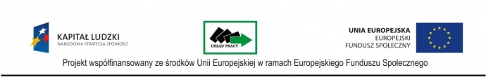 EFS Logo POKL